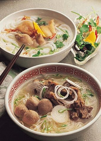 Vietnamese Cuisine,Used
