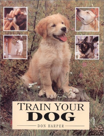 Train Your Dog,Used