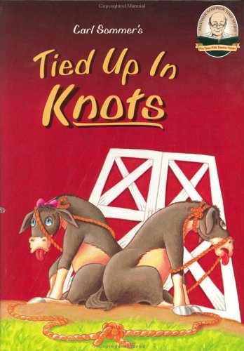 Tied Up In Knots (Another SommerTime Story),Used