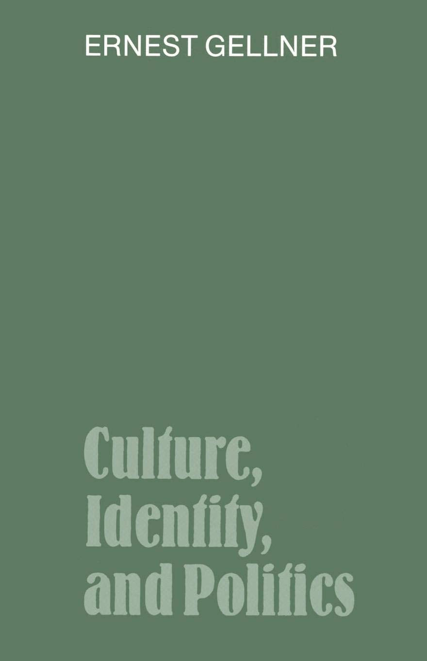 Culture, Identity, and Politics,Used