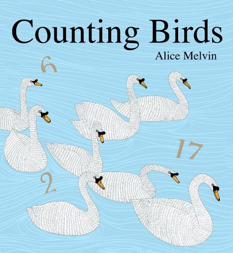 Counting Birds,Used