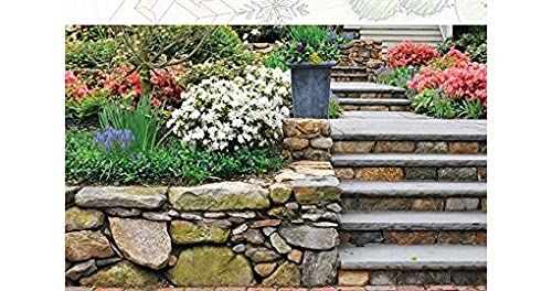 DM Yard Services: An Accounting Capstone Project with QuickBooks,Used