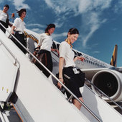 Flight Attendants,New