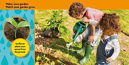 National Geographic Kids Look and Learn: In My Garden (Look & Learn),Used