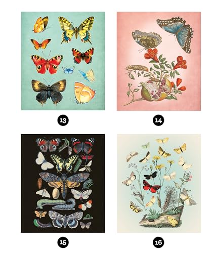 Brain Games  Sticker by Number  Vintage: Butterflies (28 Images to Sticker),Used
