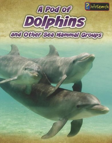 A Pod Of Dolphins: And Other Sea Mammal Groups (Animals In Groups),Used