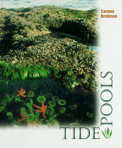 Tide Pools (First Book),Used