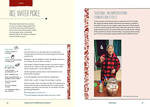 Sandor Katz? Fermentation Journeys: Recipes, Techniques, and Traditions from around the World,Used