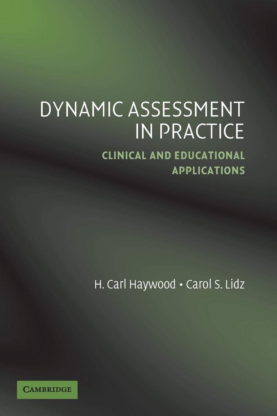 Dynamic Assessment in Practice: Clinical and Educational Applications,Used