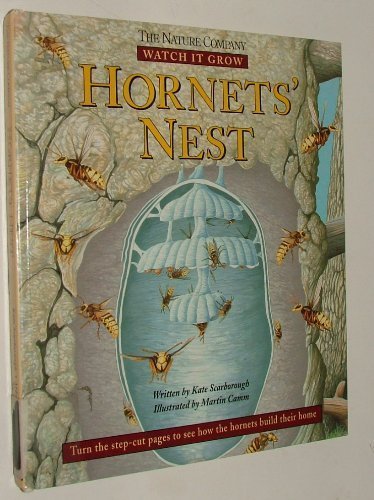 Hornets' Nest (Watch It Grow),Used