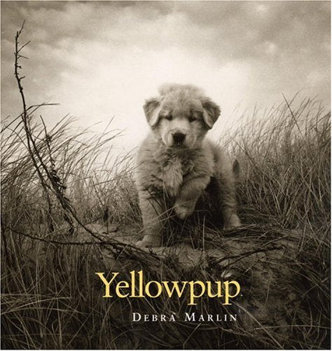 Yellowpup,Used