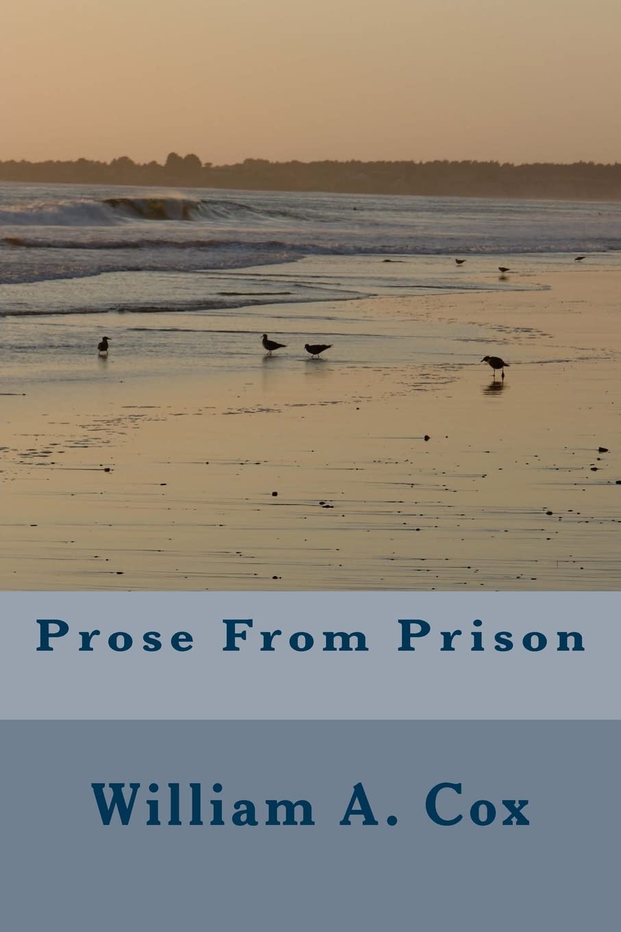 Prose From Prison,Used