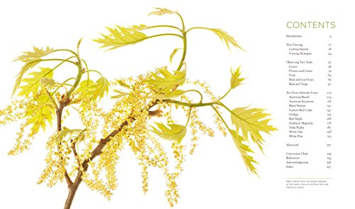 Seeing Trees: Discover the Extraordinary Secrets of Everyday Trees (Seeing Series),Used