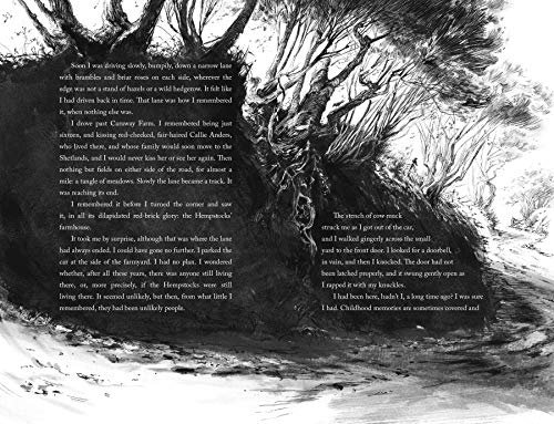 The Ocean At The End Of The Lane (Illustrated Edition),New