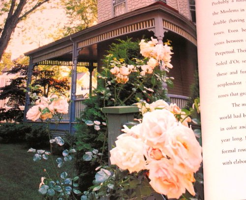Victoria: At Home With Roses (Patterns, Petals And Prints To Adorn Every Room),Used
