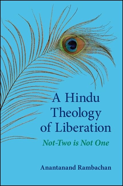 A Hindu Theology of Liberation: NotTwo Is Not One (SUNY Series in Religious Studies),Used