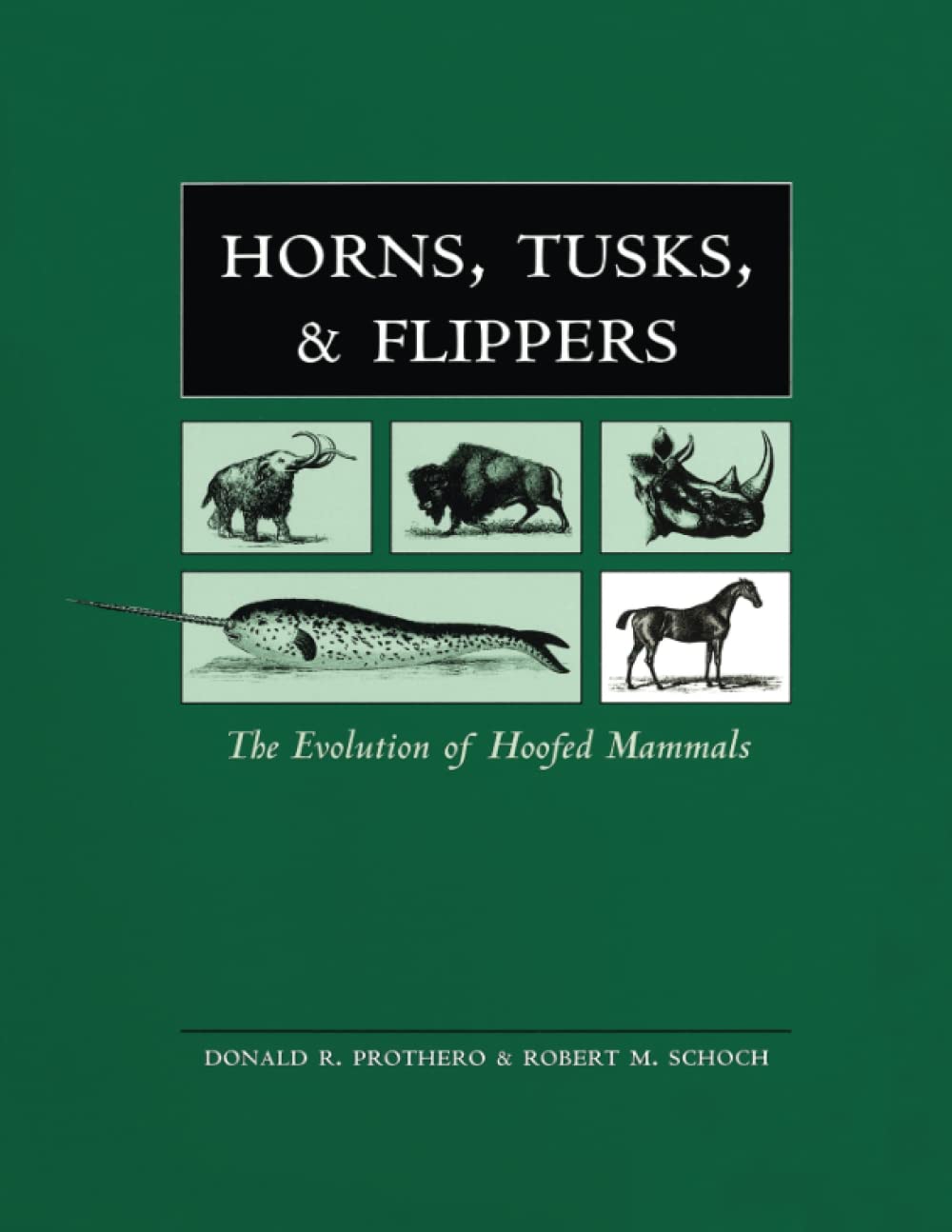 Horns, Tusks, and Flippers: The Evolution of Hoofed Mammals,Used