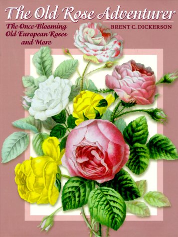 The Old Rose Adventurer: The OnceBlooming Old European Roses, and More,Used