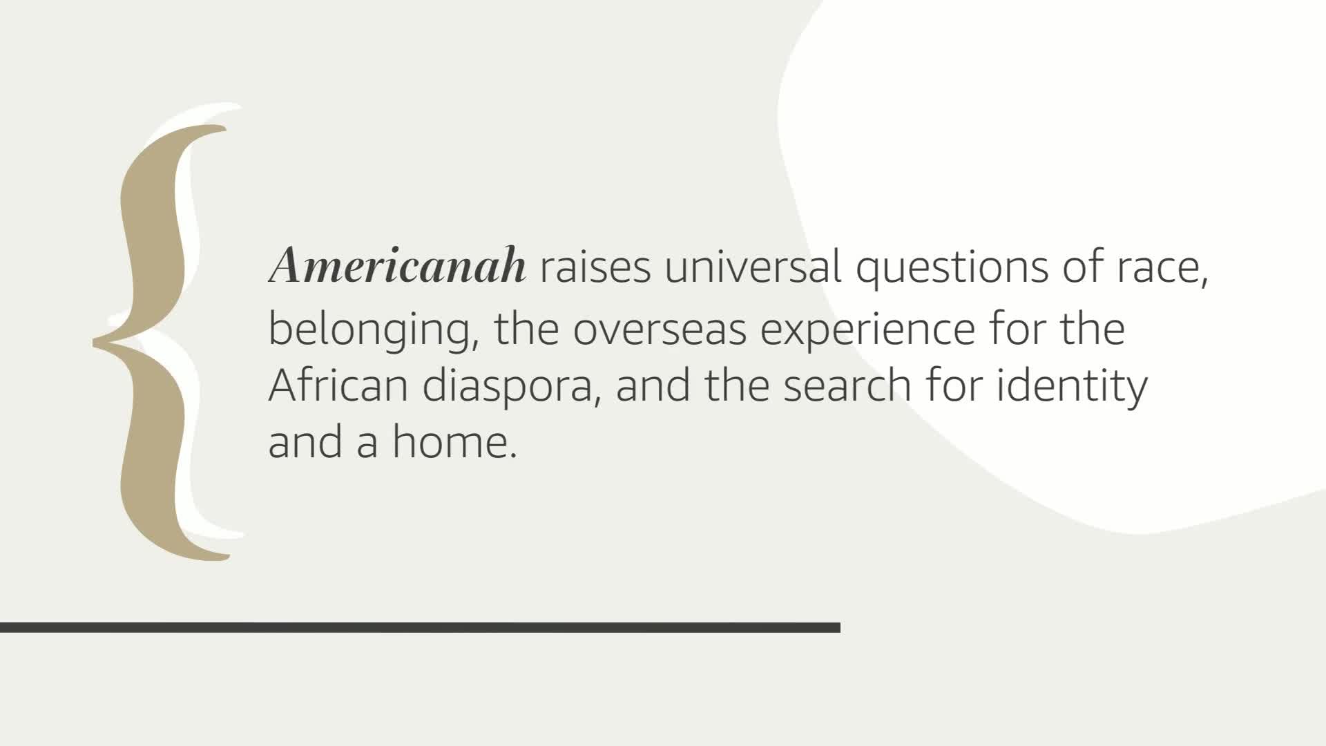 Americanah: A novel,New