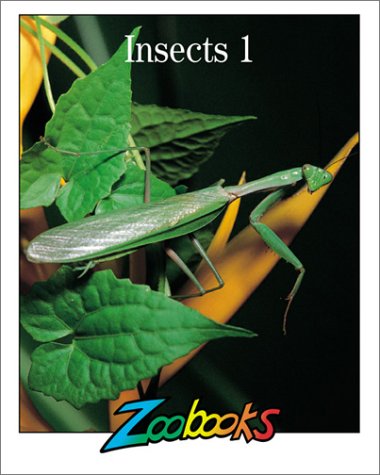 Insects 1 (Zoobooks Series),New