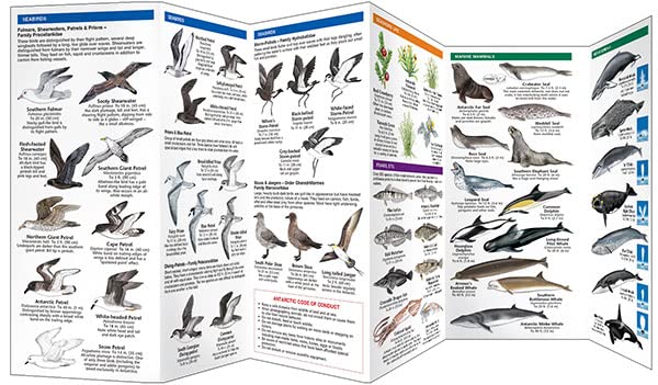 Antarctic Wildlife: A Folding Pocket Guide to Familiar Species of the Antarctic and Subantarctic Environments (Nature Observatio,New