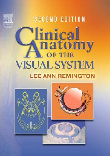 Clinical Anatomy Of The Visual System,Used