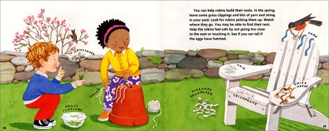 A Nest Full Of Eggs (Let'Sreadandfindout Science, Stage 1),New