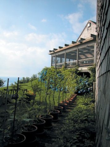 A Garden by the Sea,Used