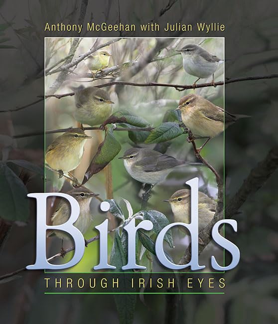 Birds: Through Irish Eyes,Used