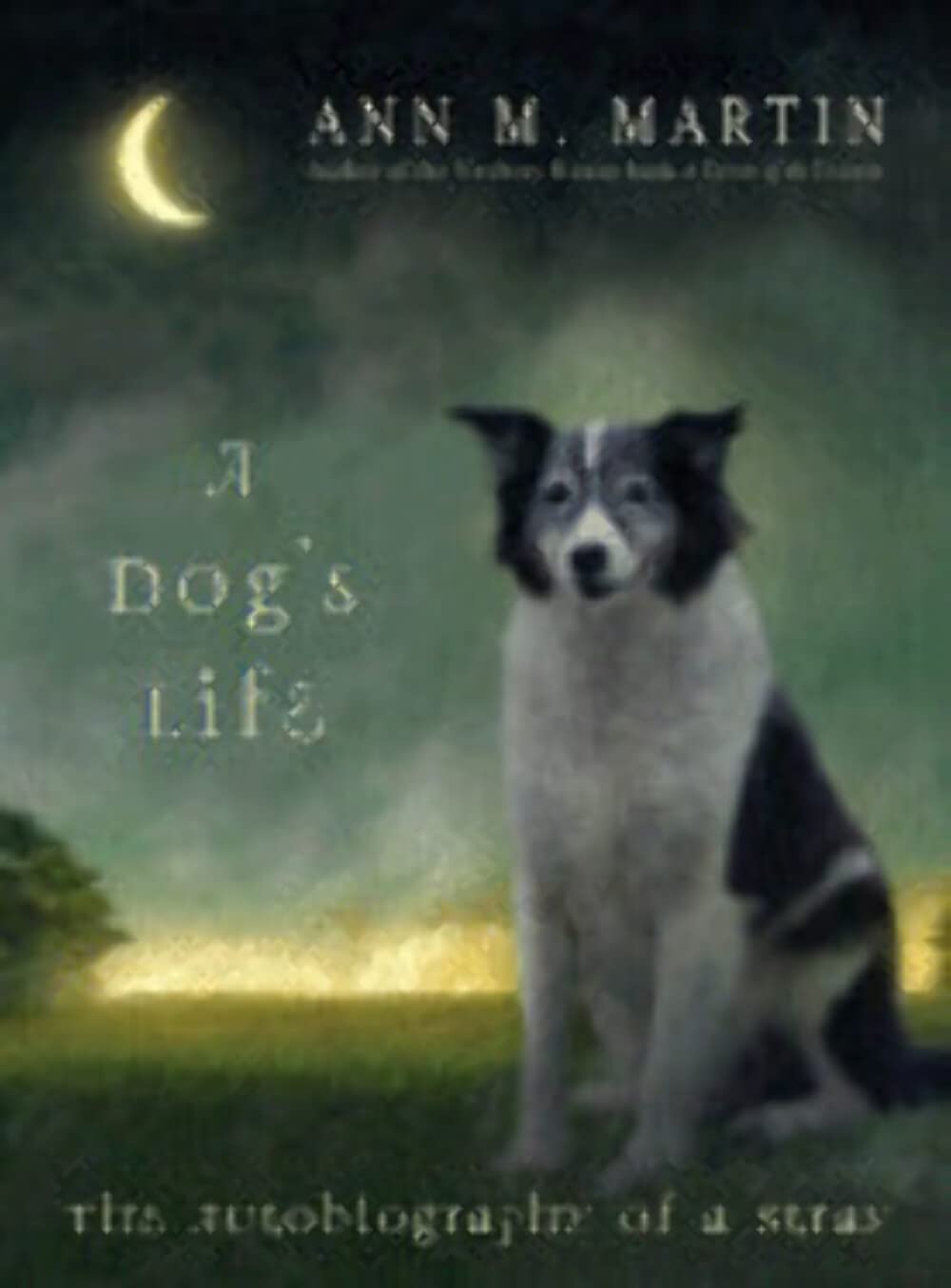A Dog'S Life: The Autobiography Of A Stray,Used