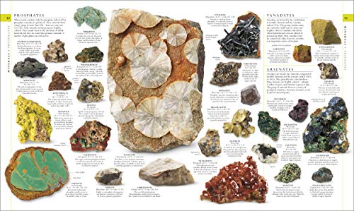 Natural History (Dk Definitive Visual Encyclopedias),New