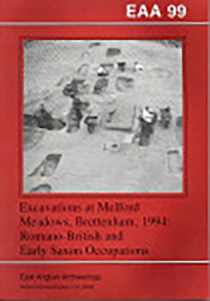 Excavations at Melford Meadows, Brettenham, 1994: RomanoBritish and Early Saxon Occupations (East Anglian Archaeology Monograph,Used