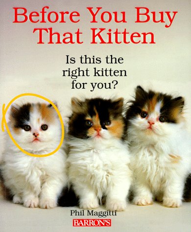 Before You Buy That Kitten,Used