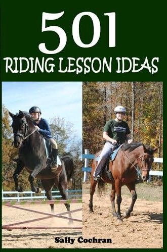 501 Riding Lesson Ideas-new
