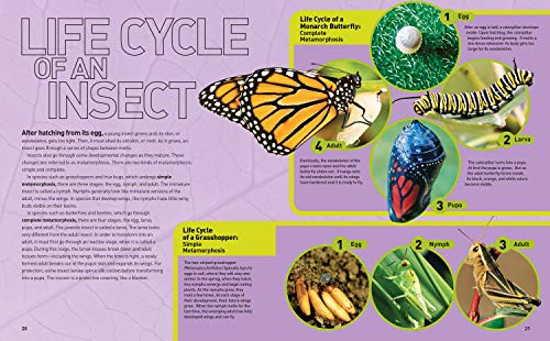 Ultimate Bugopedia: The Most Complete Bug Reference Ever (National Geographic Kids),Used
