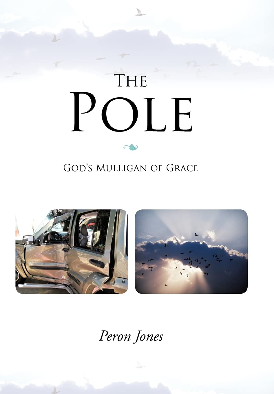 The Pole: God'S Mulligan Of Grace,Used