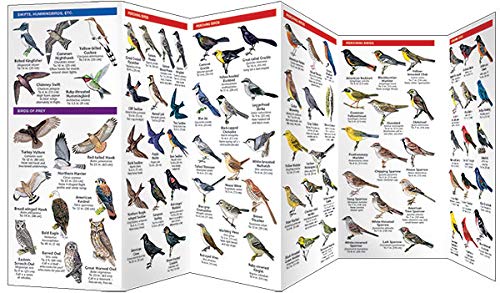 Iowa Birds: A Folding Pocket Guide to Familiar Species (Wildlife and Nature Identification),Used