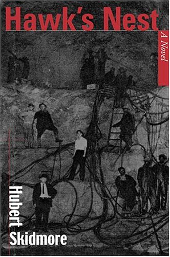 Hawk's Nest:: A Novel (Appalachian Echoes Fiction),Used