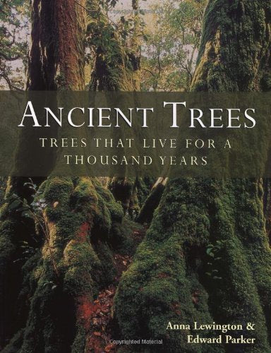 Ancient Trees: Trees That Live For 1,000 Years