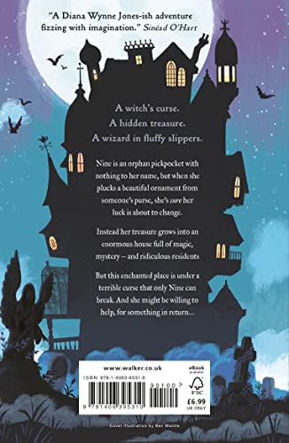 The House at the Edge of Magic,Used