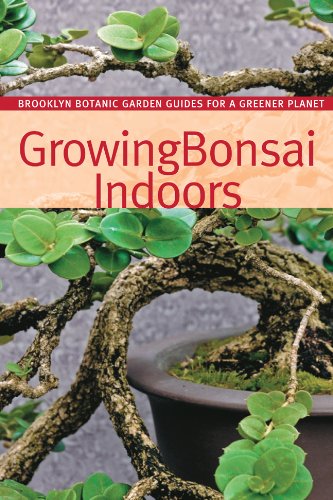 Growing Bonsai Indoors