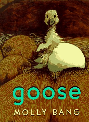 Goose,New