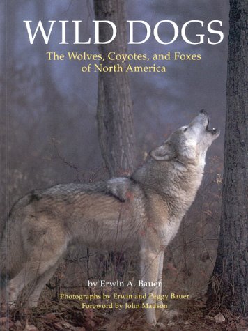 Wild Dogs: The Wolves, Coyotes, And Foxes Of North America