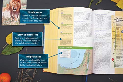 NIV, Kids' Visual Study Bible, Leathersoft, Bronze, Full Color Interior: Explore the Story of the BiblePeople, Places, and Hi,New