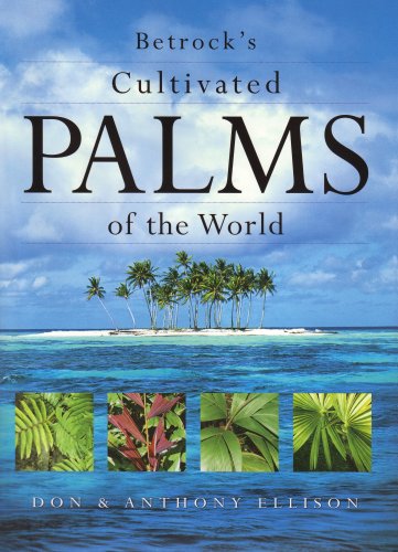 Betrock's Cultivated Palms of the World,Used