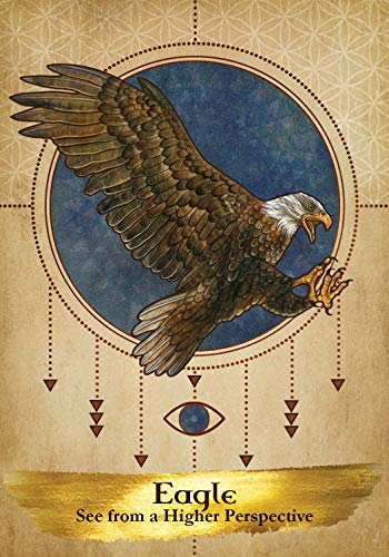 Angels and Ancestors Oracle Cards: A 55Card Deck and Guidebook,Used