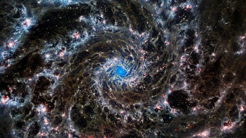 The Secret Life of the Universe: An Astrobiologist's Search for the Origins and Frontiers of Life,New