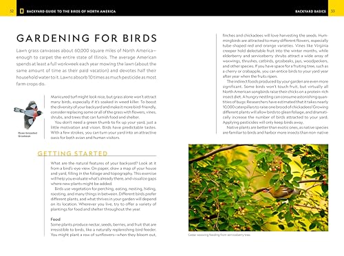 National Geographic Backyard Guide to the Birds of North America, 2nd Edition (National Geographic Backyard Guides),Used
