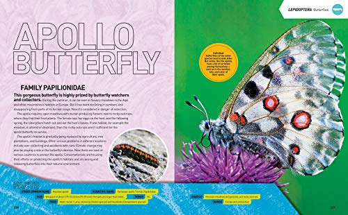 Ultimate Bugopedia: The Most Complete Bug Reference Ever (National Geographic Kids),Used