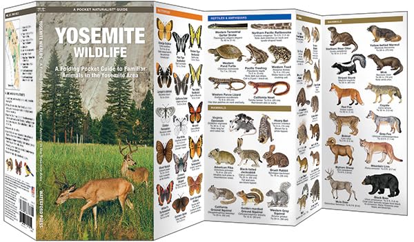 Yosemite Wildlife: A Folding Pocket Guide to Familiar Animals in the Yosemite Area (Wildlife and Nature Identification),Used